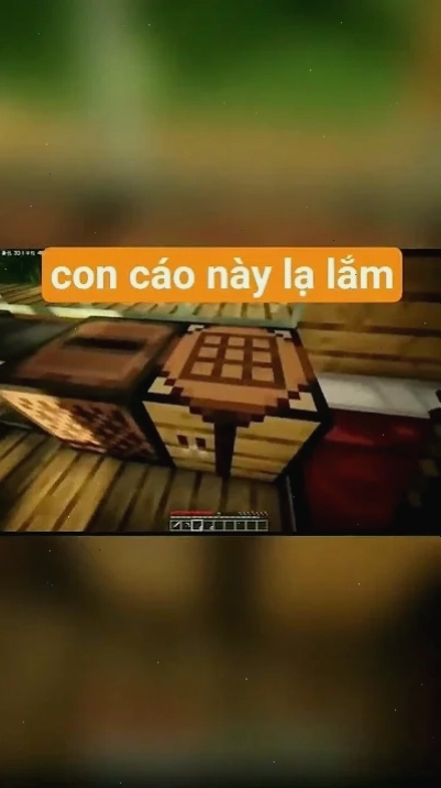 meme con cáo đang ăn
