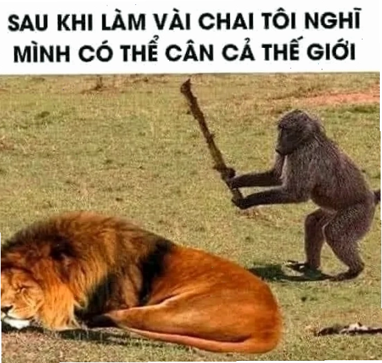 meme con cáo đang suy tư