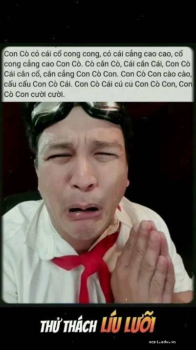meme con cáo giận dữ