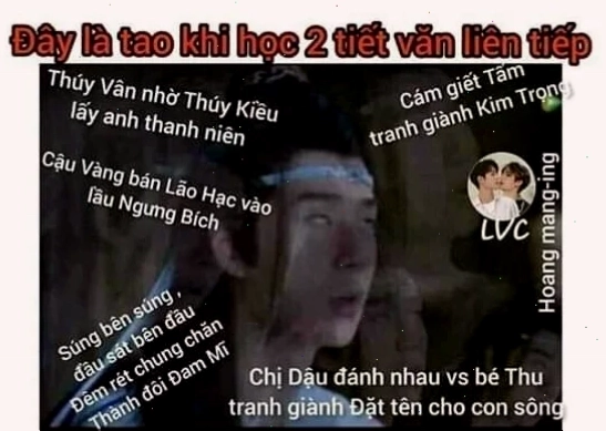 meme con cáo nhìn xa xăm