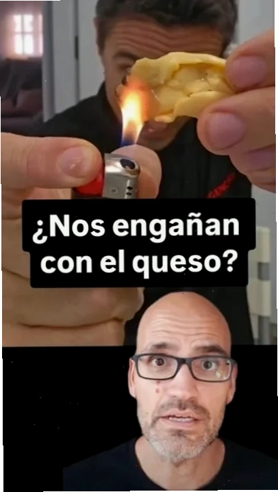 meme con cáo tò mò