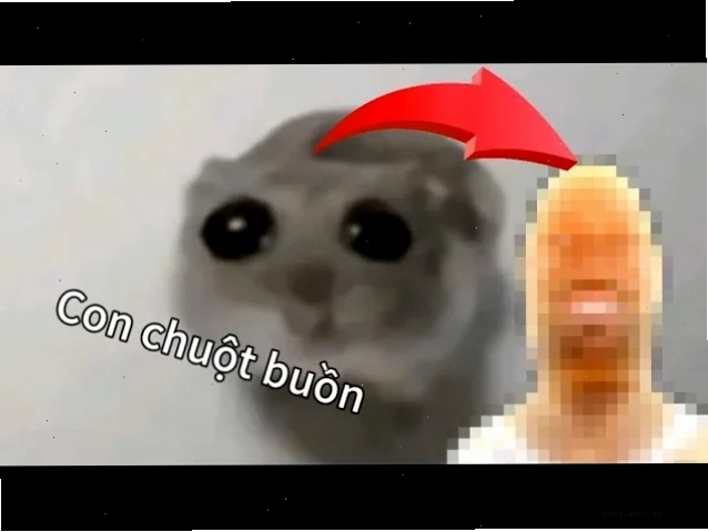 meme con chuột