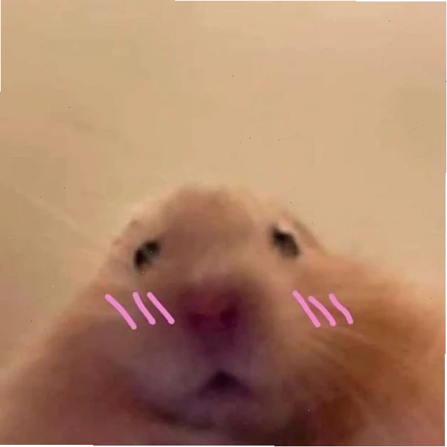 meme con chuột