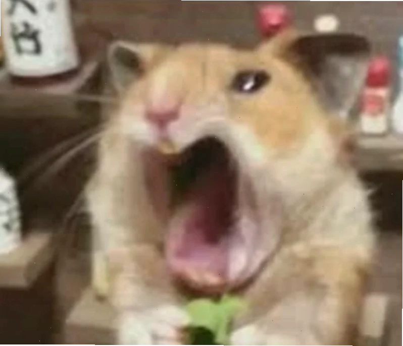 meme con chuột