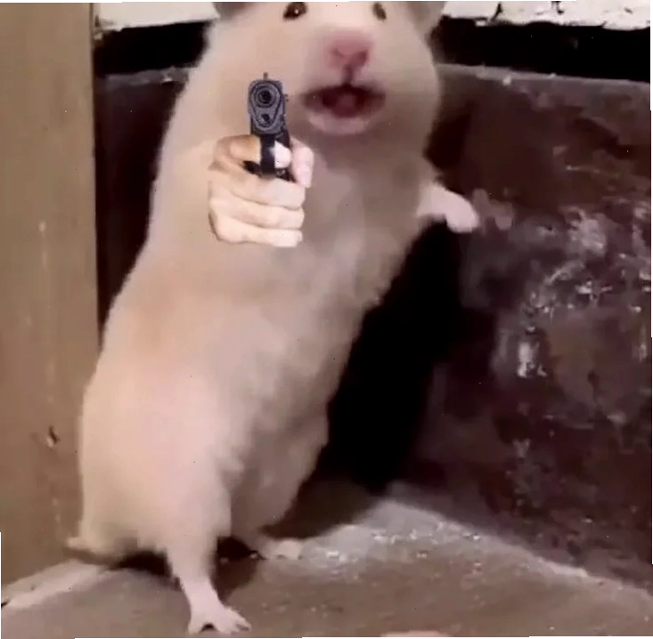 meme con chuột