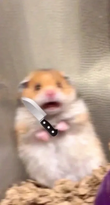 meme con chuột
