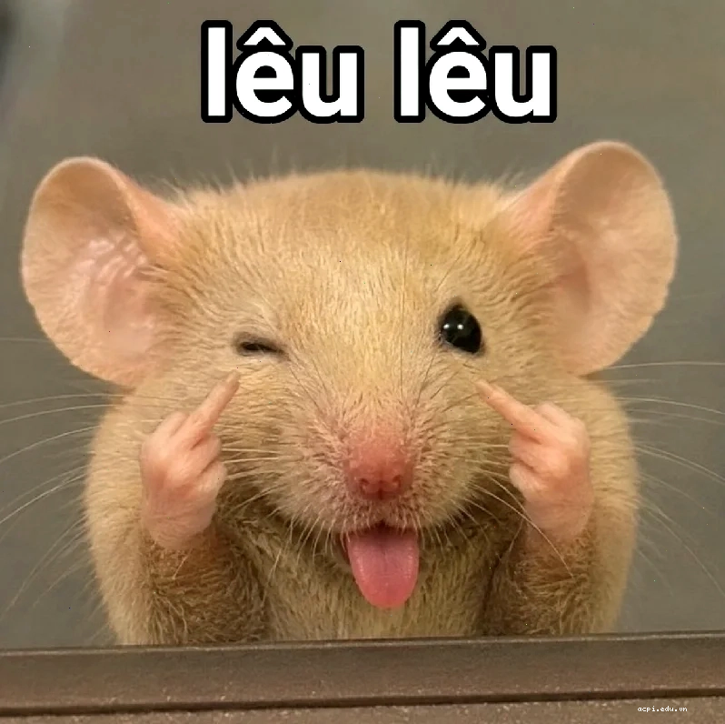 meme con chuột