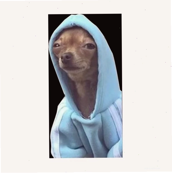 meme con ciu