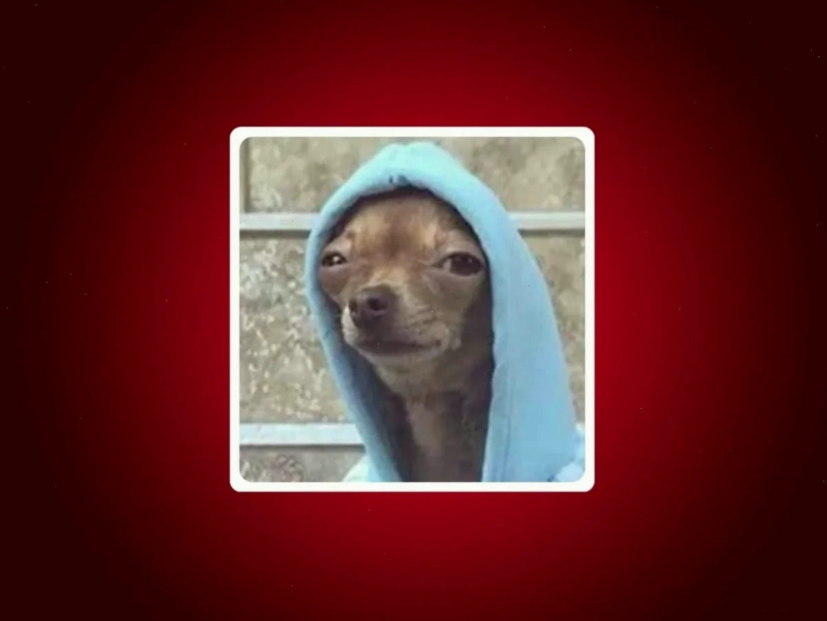 meme con ciu