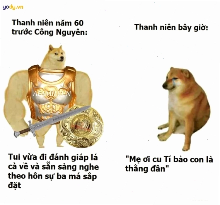Meme con cu vui