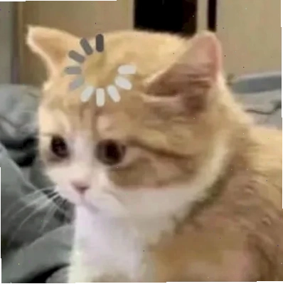 meme con mèo ăn