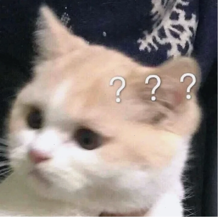 meme con mèo dấu chấm hỏi