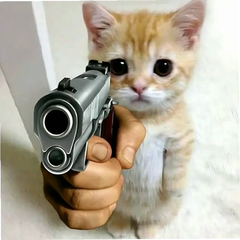 meme con mèo hài hước