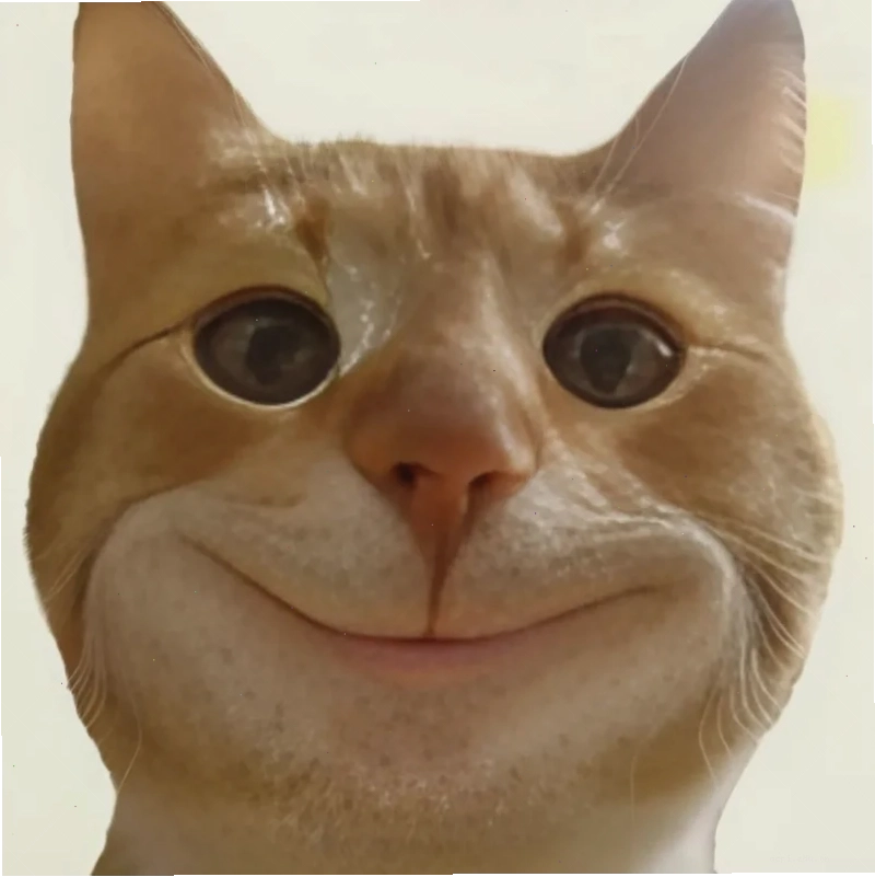 meme con mèo nháy mắt đáng yêu