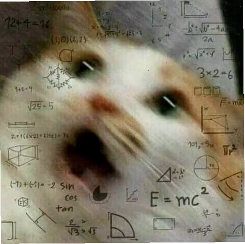 meme công thức toán đầu hàng