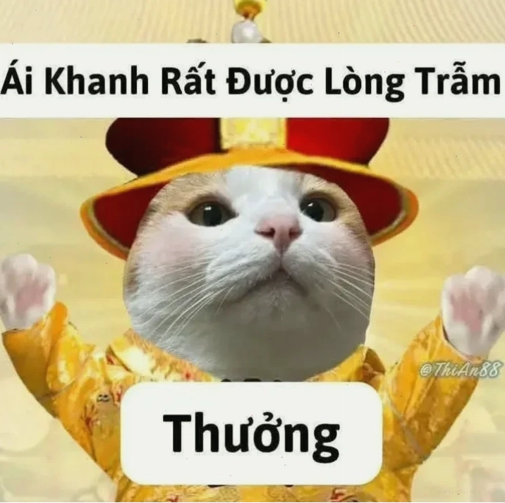 meme cung đấu 29