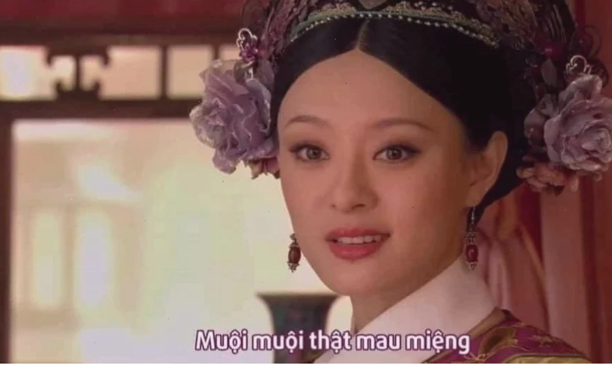 meme cung đấu 31