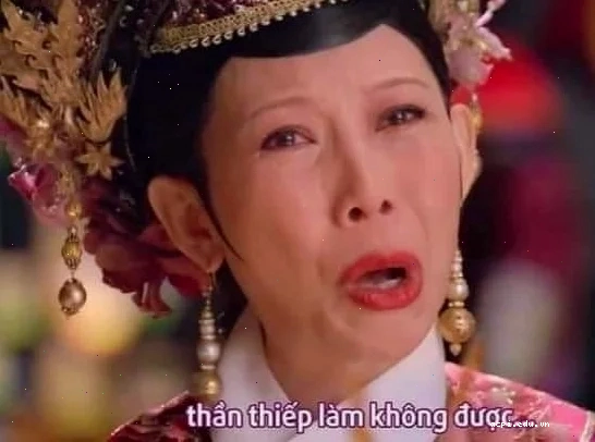 meme cung đấu gấu trúc