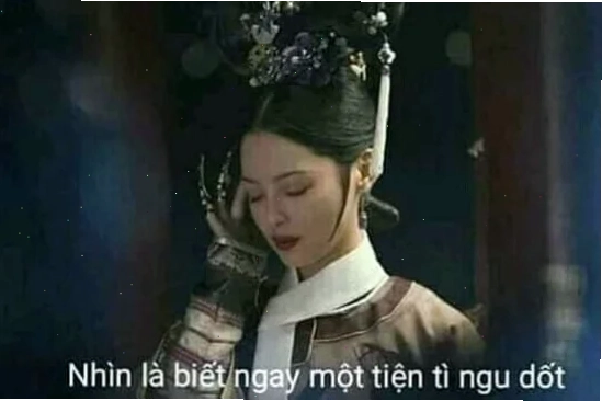 meme cung đấu giấu thư