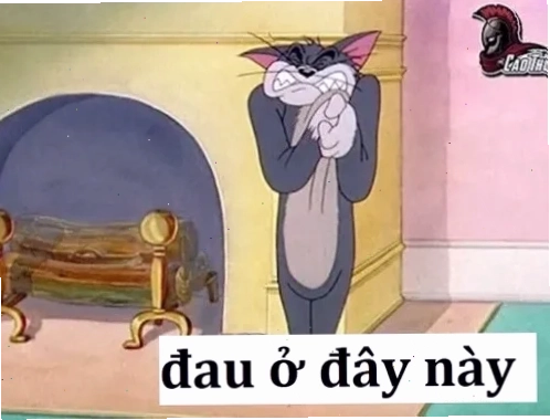 Meme cuối cùng về đau ở đây này