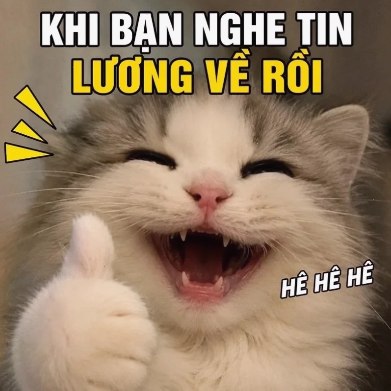 meme cười đểu