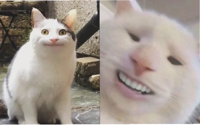 meme cười đểu