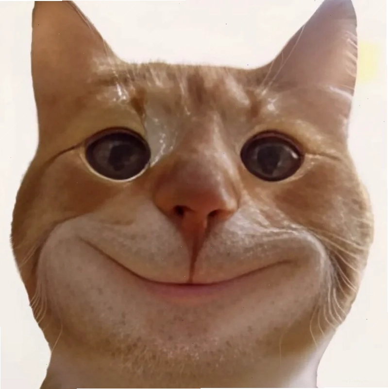 meme cười đểu