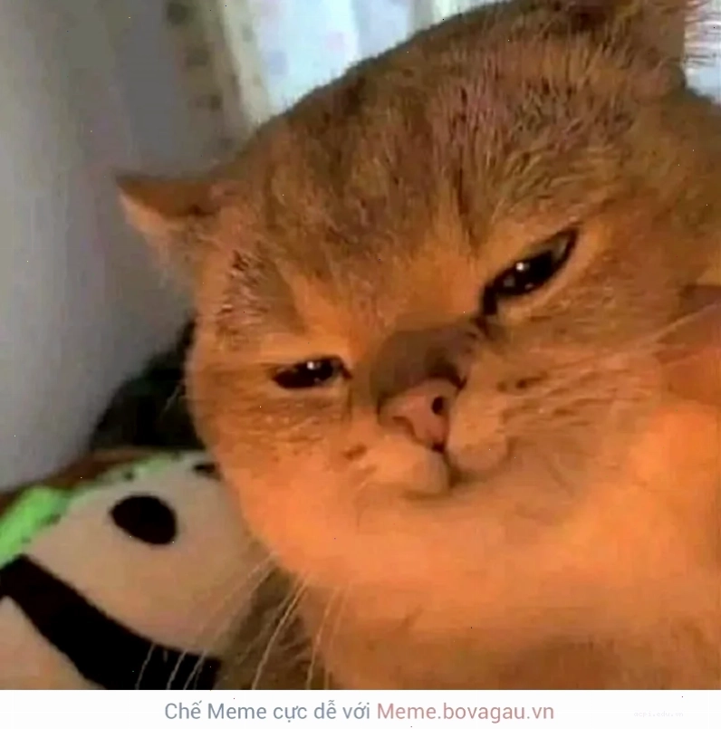 meme cười đểu