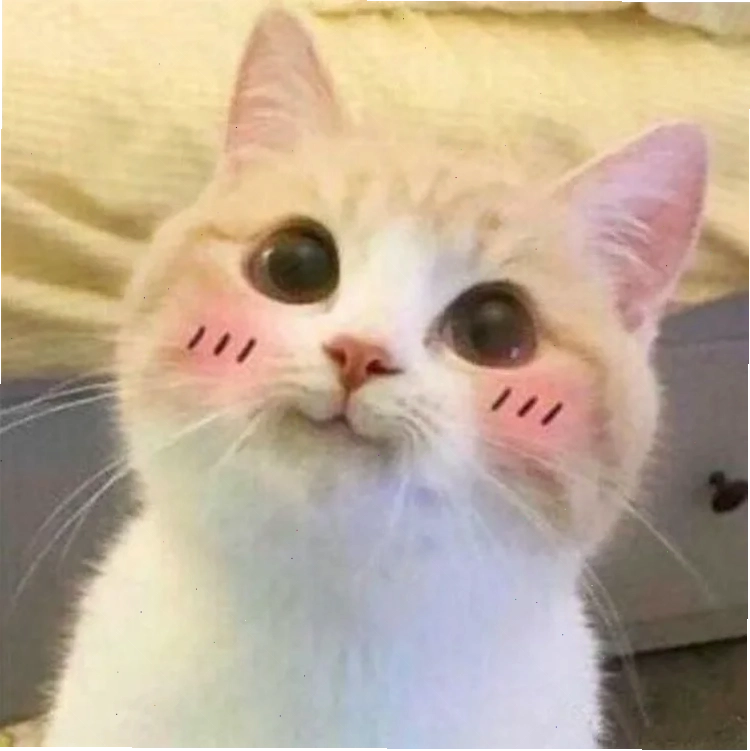 meme cười đểu
