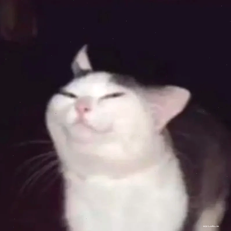 meme cười đểu