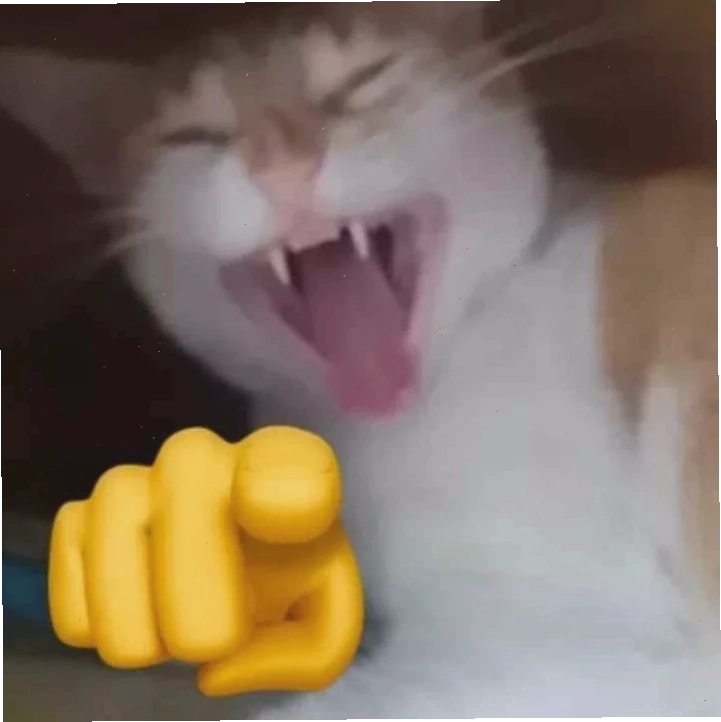 meme cười đểu