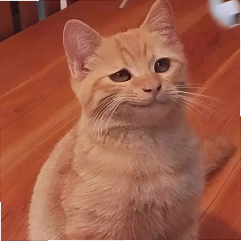 meme cười đểu