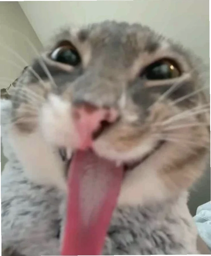 meme cười đểu