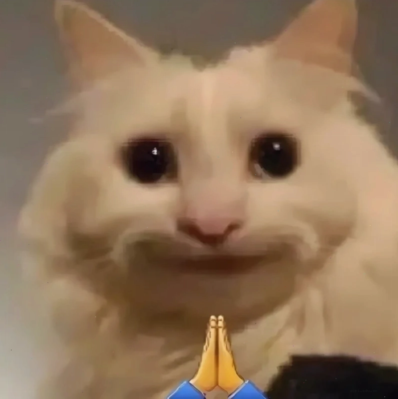 meme cười đểu