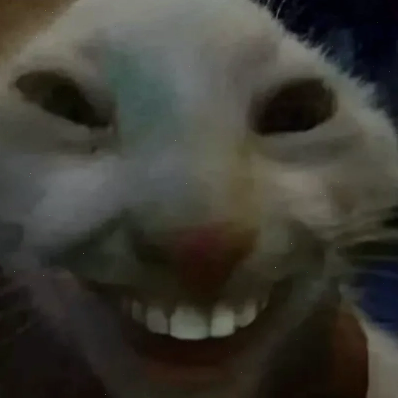meme cười đểu