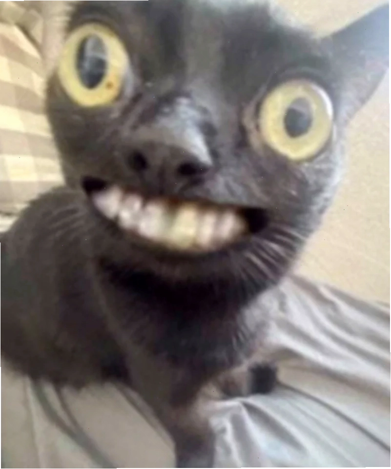 meme cười ỉa bỉ ổi