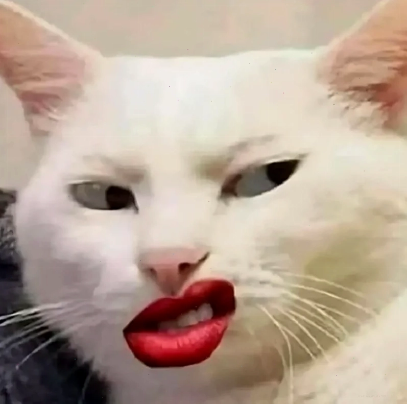 meme cười ỉa cho crush