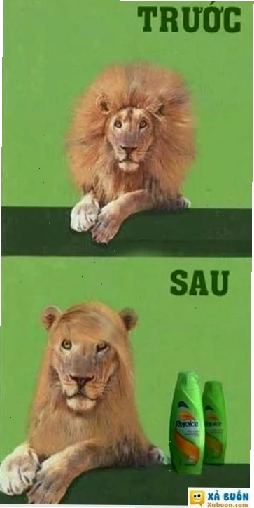 meme cười ĩa cực bựa