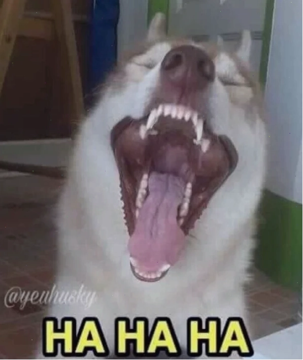 meme cười ỉa giang hồ