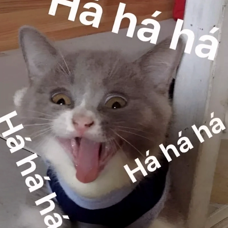 meme cười ỉa kiểu da đen