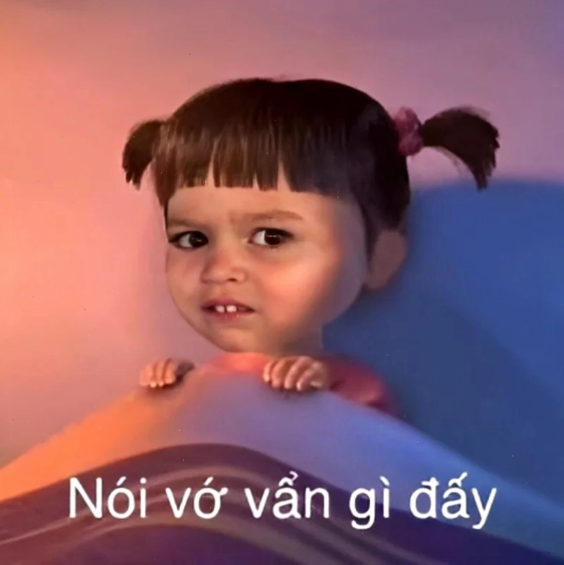 meme cười ỉa mèo cam