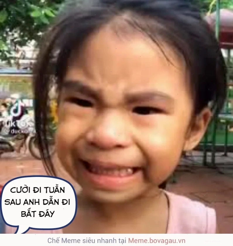 meme cười ỉa nham hiểm