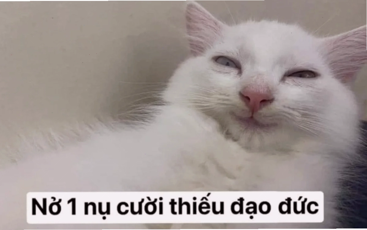 meme cười ỉa thần thánh