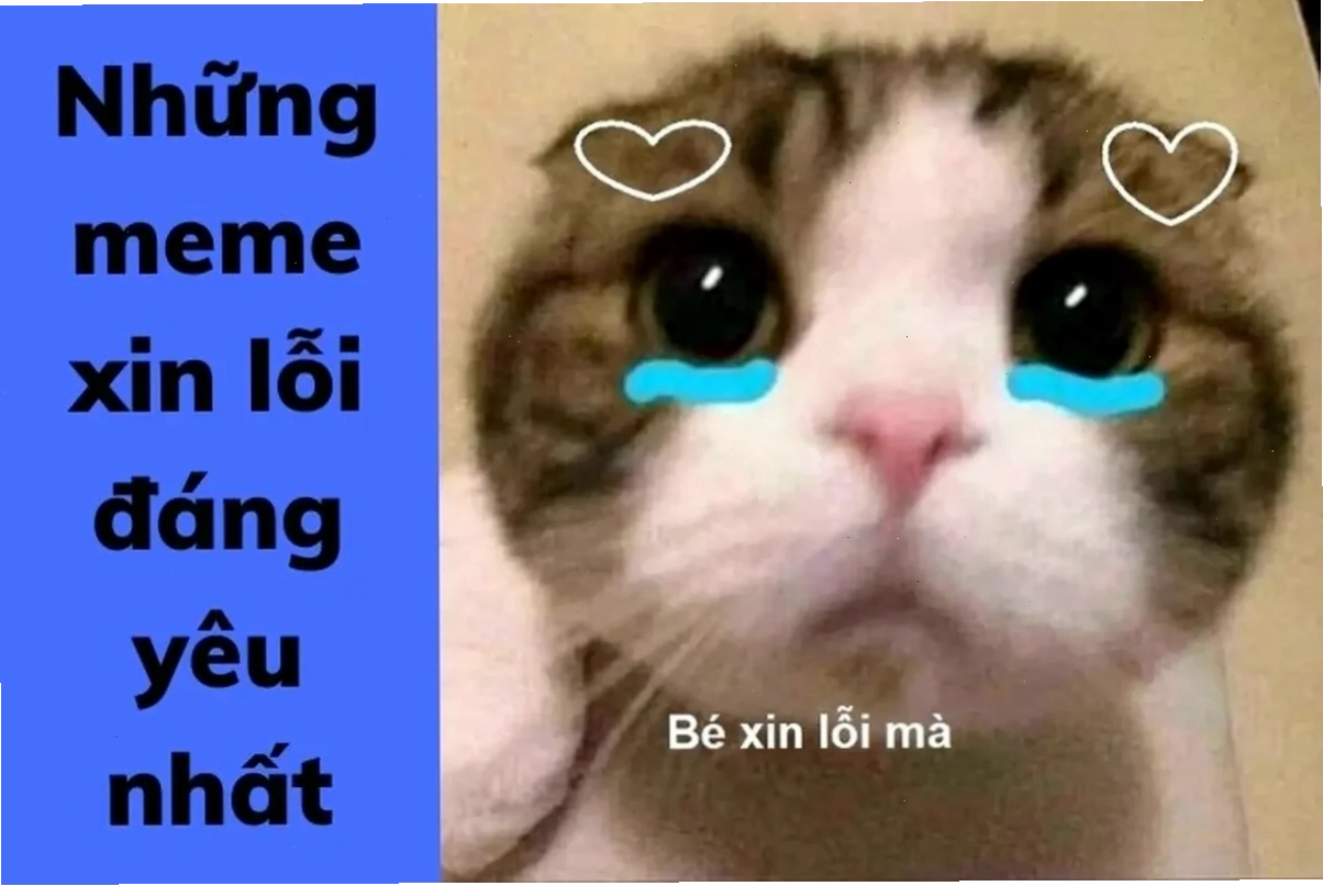 Meme cười nghiêng