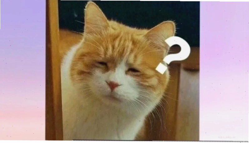 Meme cười trong kho meme miễn phí