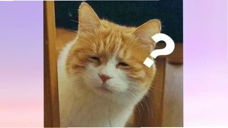 Meme cười trong kho meme miễn phí