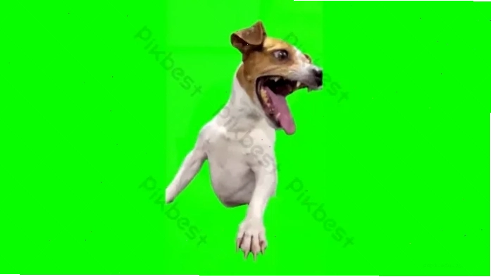 Meme cười vui