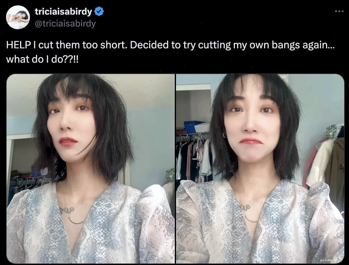 meme cút biến đi