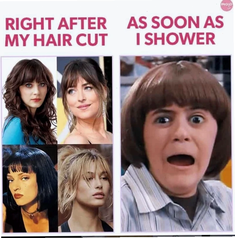 meme cút đuổi khéo