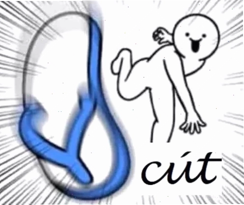 meme cút gắt